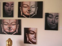Buddha billed p lrred