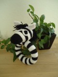 Range zebra